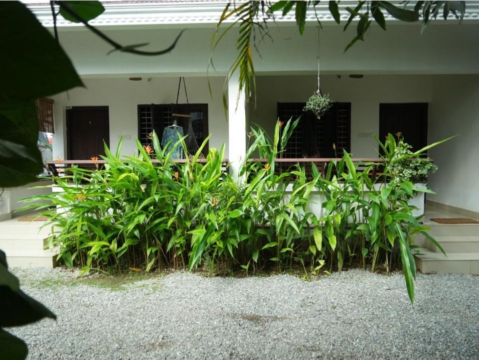 Mad About Coco Yoga & Beach Retreat Varkala Zewnętrze zdjęcie