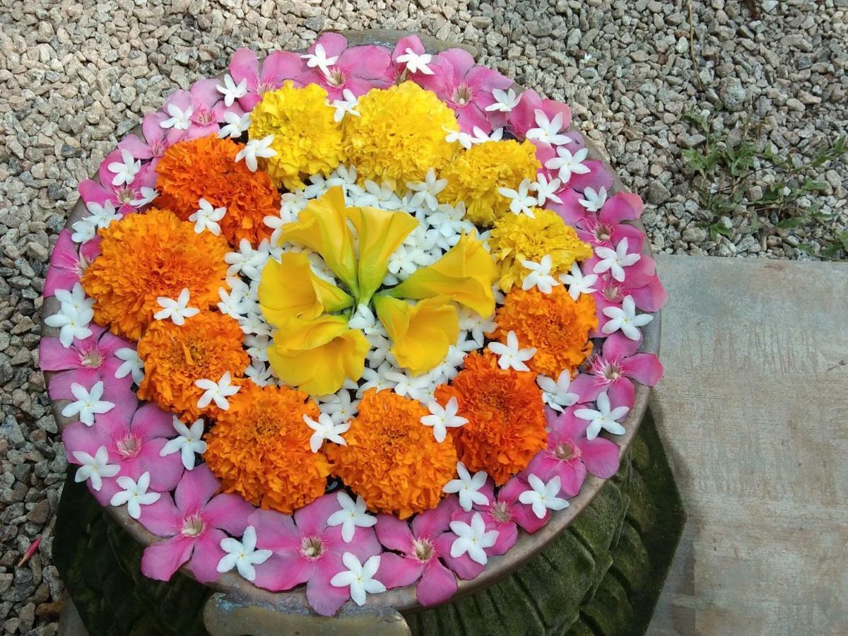 Mad About Coco Yoga & Beach Retreat Varkala Zewnętrze zdjęcie